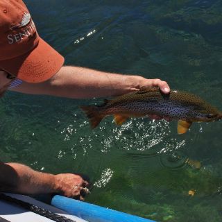 Foto de pesca con mosca