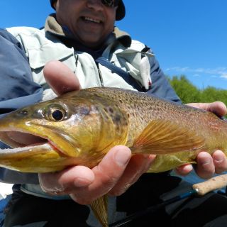 Foto de pesca con mosca