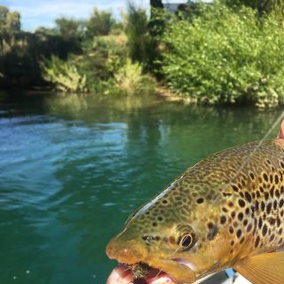 Foto de pesca con mosca