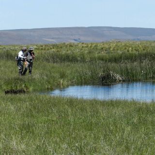 Foto de pesca con mosca