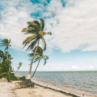 Foto de pesca con mosca