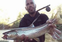  Salmo trutta – Interesante Situación de Pesca con Mosca – Por Juan Dogan