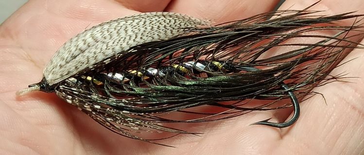 Black King Spey fly