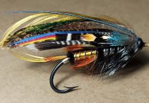  Fotografía de Atado de moscas para Slink compartida por Aleksandr Shchekin | Fly dreamers
