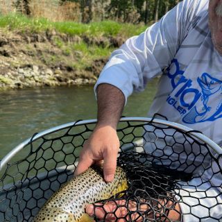 Foto de pesca con mosca