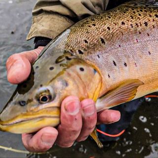 Foto de pesca con mosca