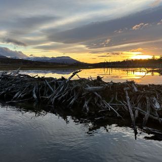 Foto de pesca con mosca