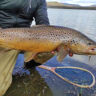 Foto de pesca con mosca