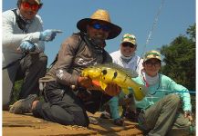 Peacock Bass Fly-fishing Situation – Kid Ocelos shared this Photo in Fly dreamers 