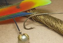 Aleksandr Shchekin 's Fly-tying for fall salmon - Photo | Fly dreamers 