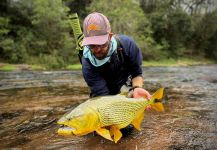 Dorados Argentinos