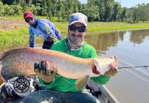  Foto de Pesca con Mosca de Arapaima gigas compartida por Tomás Monío | Fly dreamers