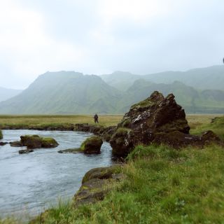 Fly fishing picture