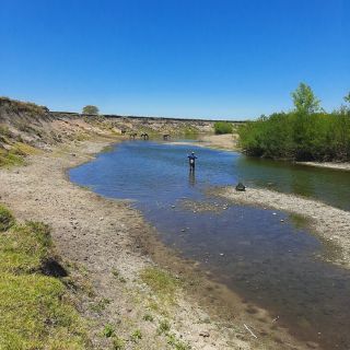 Foto de pesca con mosca