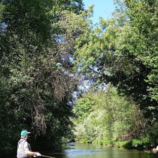 Fly fishing picture