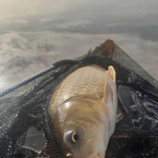 Foto de pesca con mosca