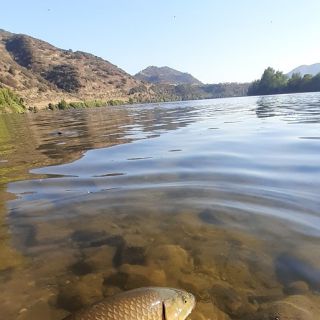 Foto de pesca con mosca