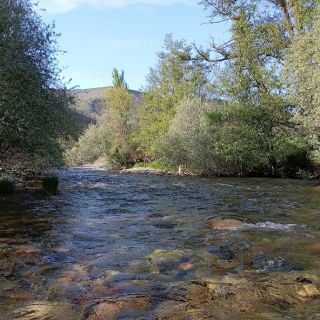 Foto de pesca con mosca