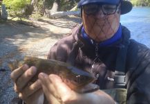  Imagen de Pesca con Mosca de Salmo fario compartida por Osvaldo Franchi | Fly dreamers