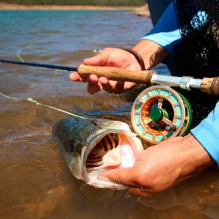 Fly fishing picture