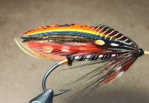 Fly for fall salmon - Picture by Aleksandr Shchekin | Fly dreamers 