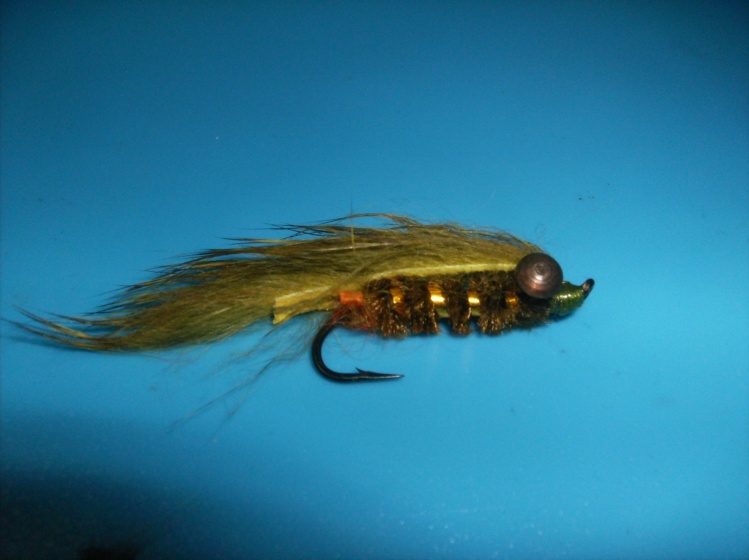 cool fly that gave me some nice brookies,crappie and smallmouth....guess its an effective one