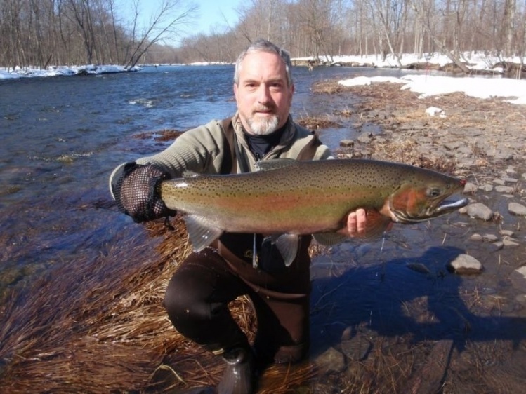 Nice nine-ish pound buck in spawning colors, spring 2013. Salmon river ,Altmar, N.Y. See the red headed egg sucking leech in his snout?