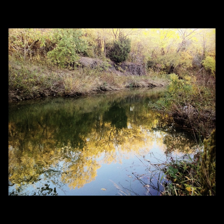 Beautiful fall shot on unnamed creek around Mesquite, TX.
