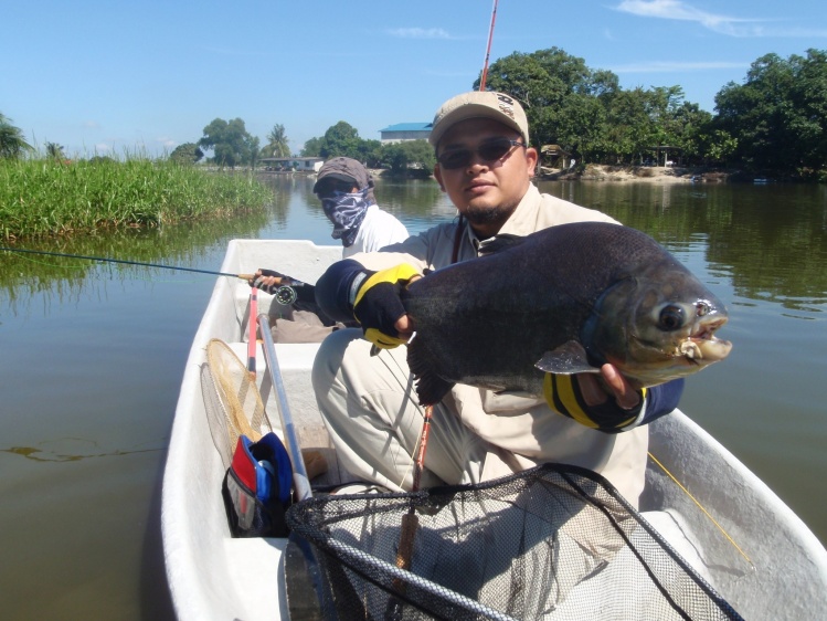 Pacu with zonker