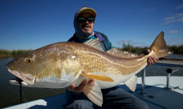 Perry with a 32lb + redfish taken in the marsh.