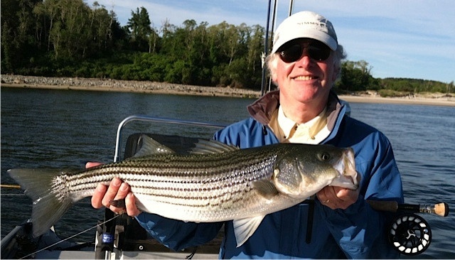 Alex, a.k.a. Pond Doctor with a nice striper from northern MA sight fishing.