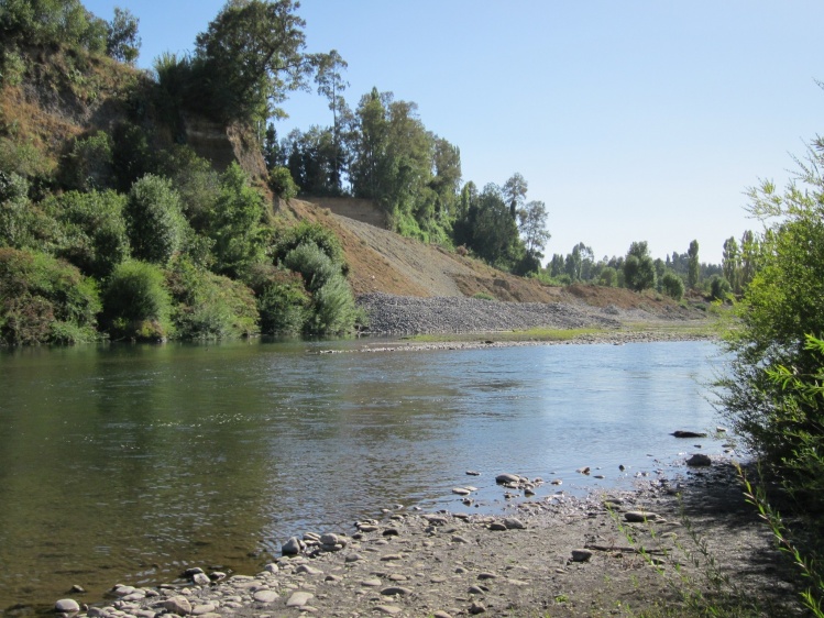 río  Quepe novena región chile