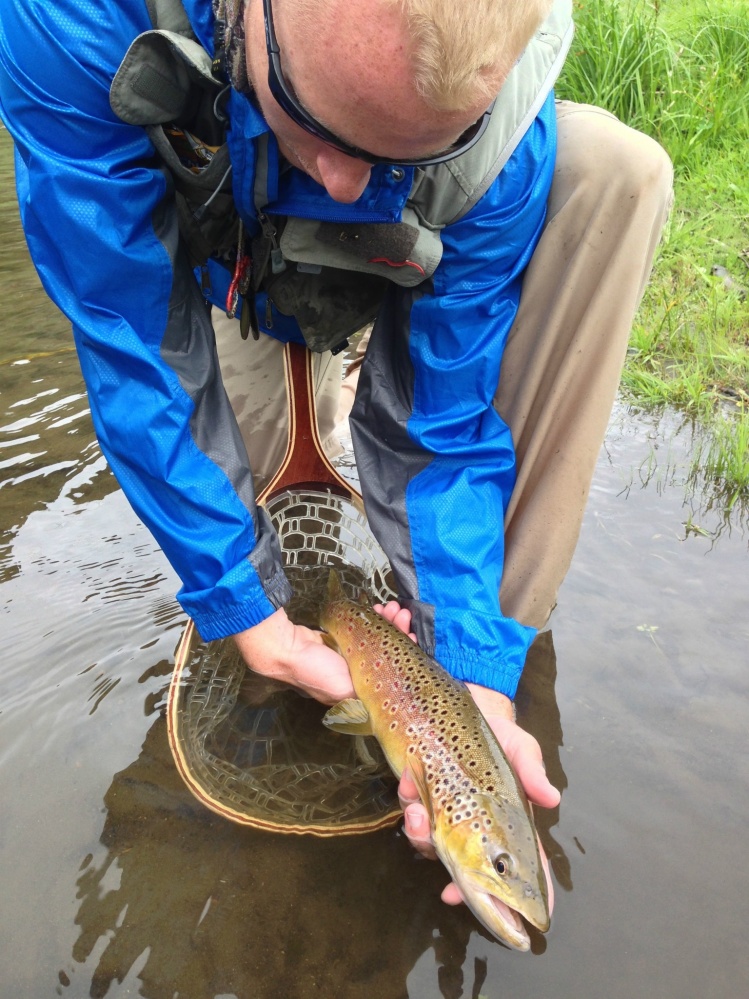 A beautiful 18 inch small stream brown.