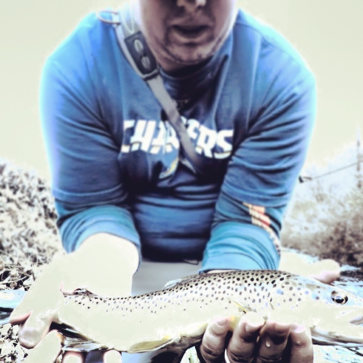1st big (wild) brown caught on fly. I was excited...