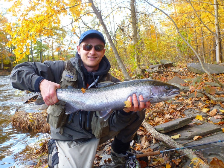 Caught this steelhead in the fall on the  salmon river