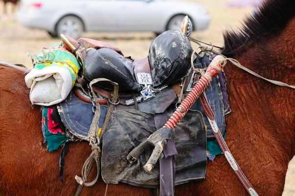 Mongolian saddle.