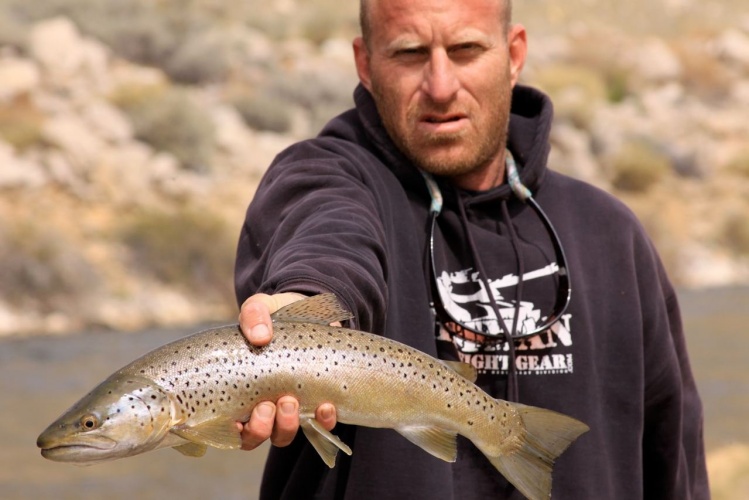 Wind River Chrome Brown