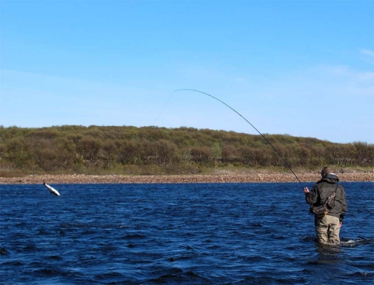 Chavanga salmon fishing