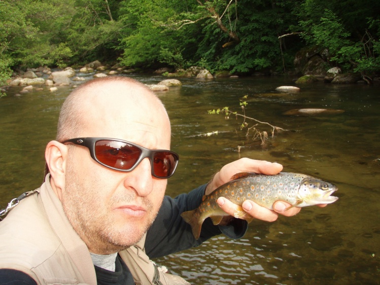 Brown trout Greece