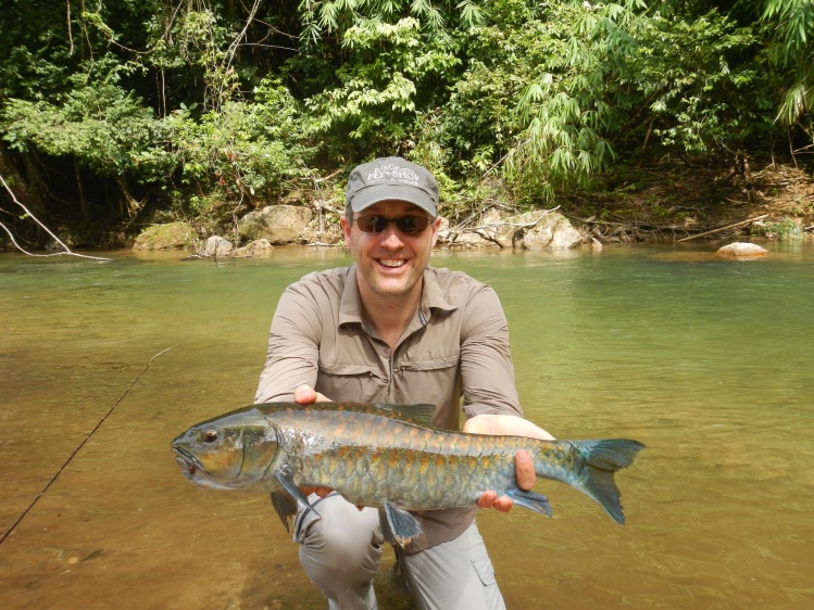 Stracheyi Mahseer on dry fly