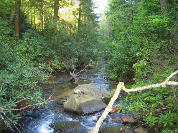 Chester Creek and AP Trail