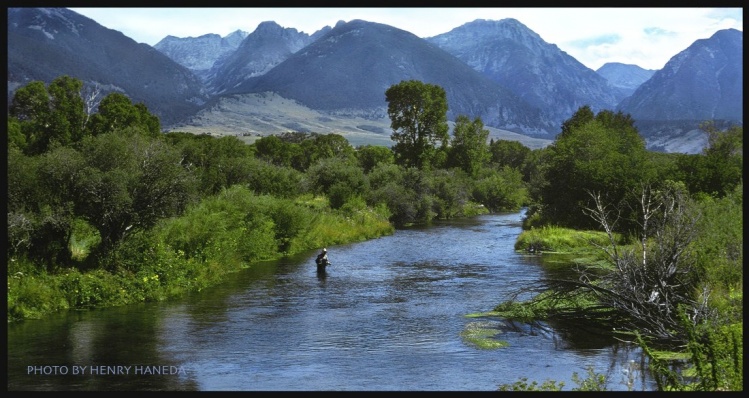 My Favorite Spring Creek in Montana
