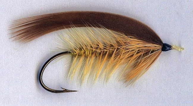 Early Salmon Fly- Pattern by George Bainbridge - tied by Mike Boyer