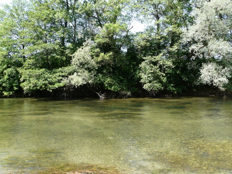 Unica River