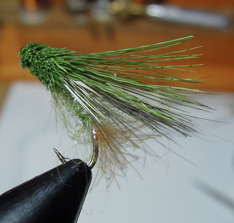 streaking caddis