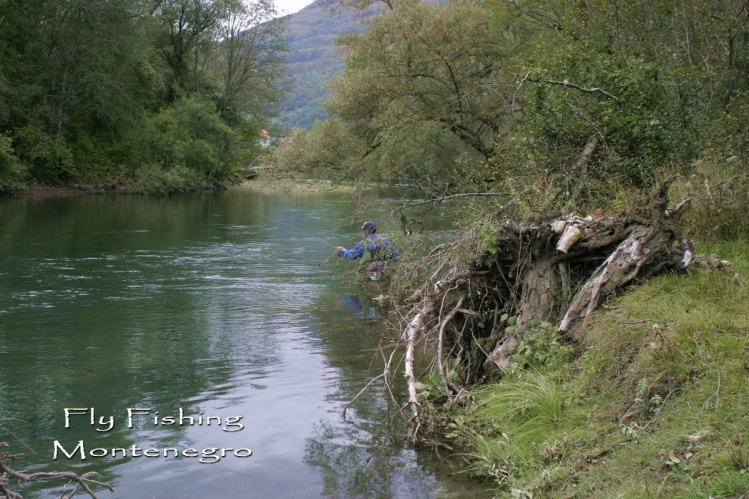 Czech nymphing river Lim