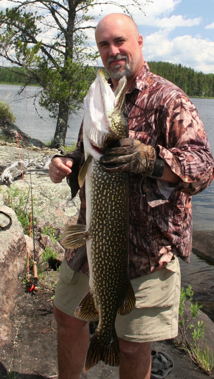 40 inch Pike in Quetico Canada on a 4wt fly rod