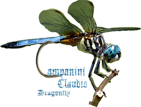dragonfly