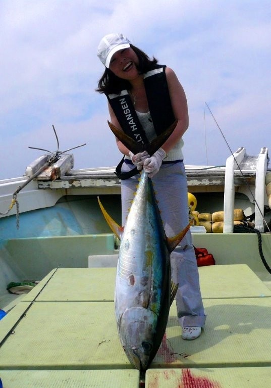 Yellowfin tuna 20kg