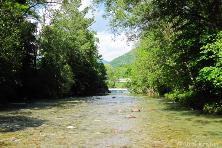 Tržiška Bistrica river